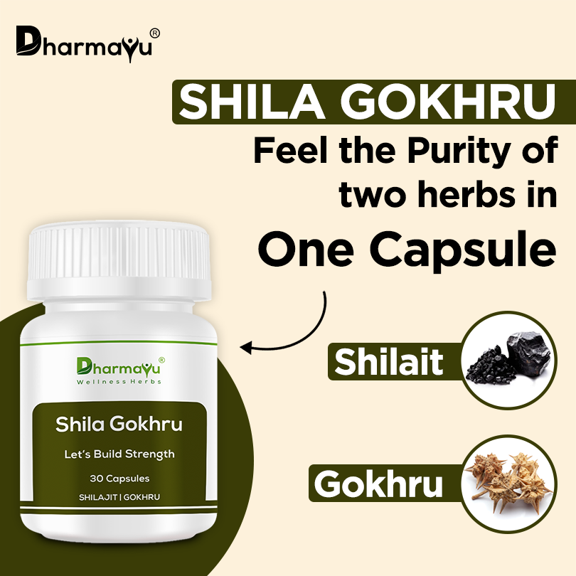 Shila Gokhru Capsule