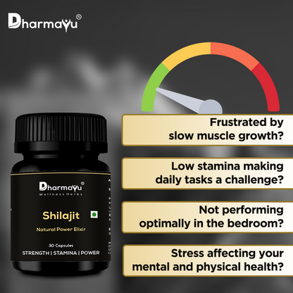 Shilajit Capsules